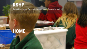 Relationships, Sexual Health and Parenthood Resource